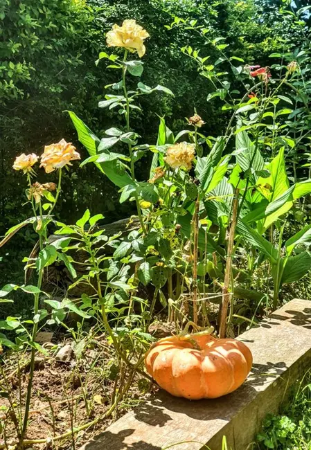 Foto 7 de Casa de Condomínio com 5 quartos à venda, 850m2 em Nova Fazendinha, Carapicuiba - SP