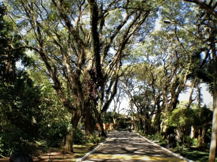 Foto 1 de Terreno / Lote à venda, 518m2 em Bosque do Vianna, Cotia - SP