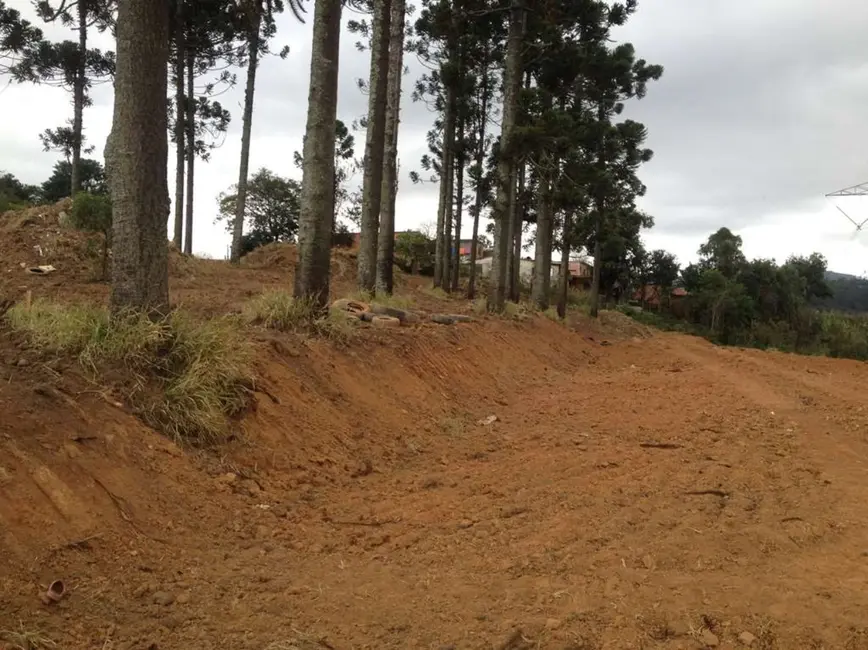 Foto 4 de Terreno / Lote à venda em Jardim Sandra, Cotia - SP