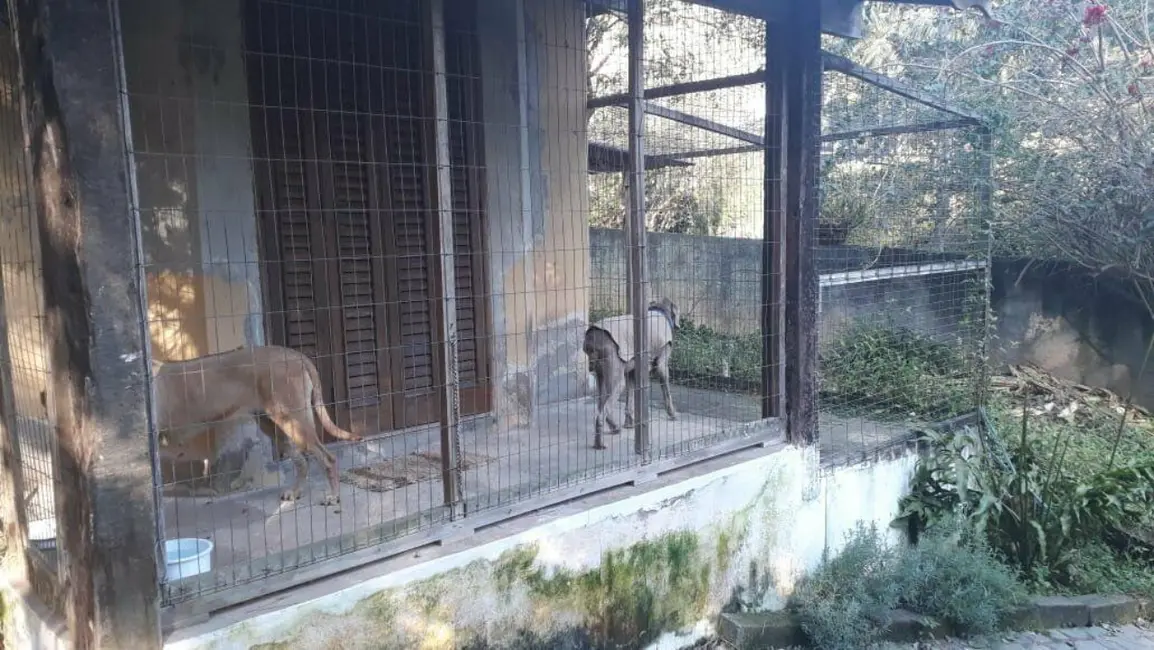 Foto 9 de Casa com 4 quartos à venda, 138m2 em Granja Carneiro Viana, Cotia - SP