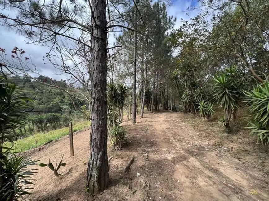 Foto 9 de Terreno / Lote à venda em Taboleiro Verde, Cotia - SP