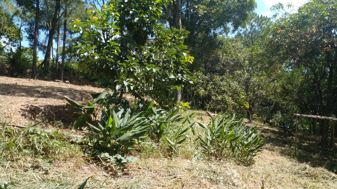 Foto 8 de Terreno / Lote à venda, 3000m2 em Aracariguama - SP
