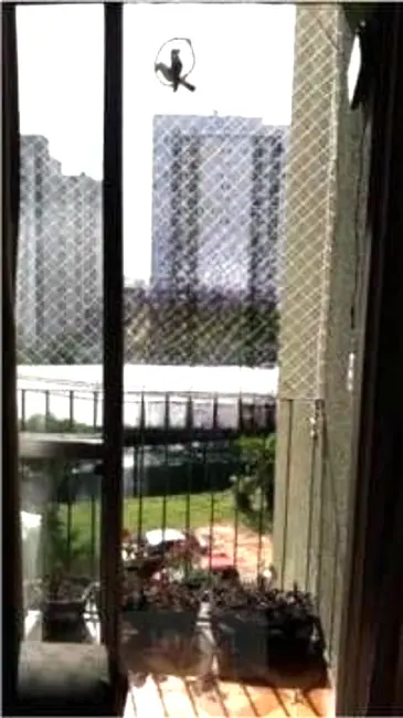 Foto 4 de Apartamento com 3 quartos à venda, 82m2 em Osasco - SP