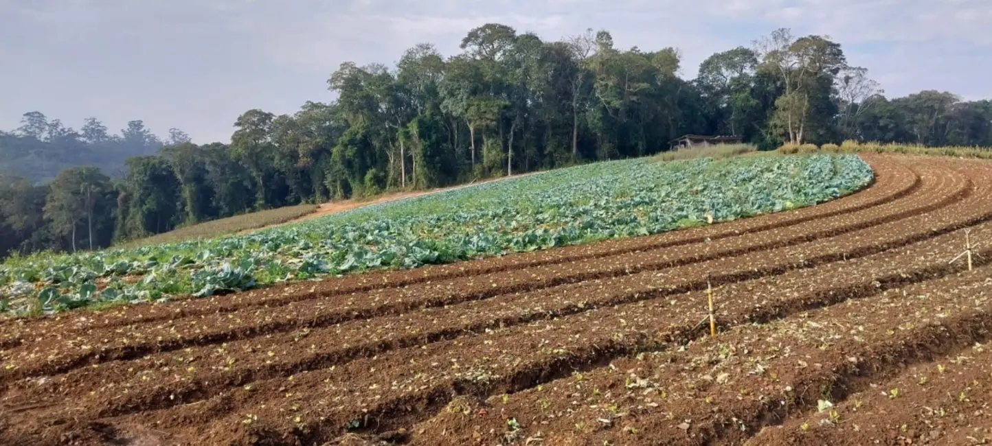 Foto 1 de Terreno / Lote à venda, 81335m2 em Jardim São Marcos, Itapevi - SP