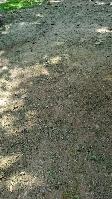 Foto 5 de Terreno / Lote à venda, 400m2 em Parque Nova Jandira, Jandira - SP