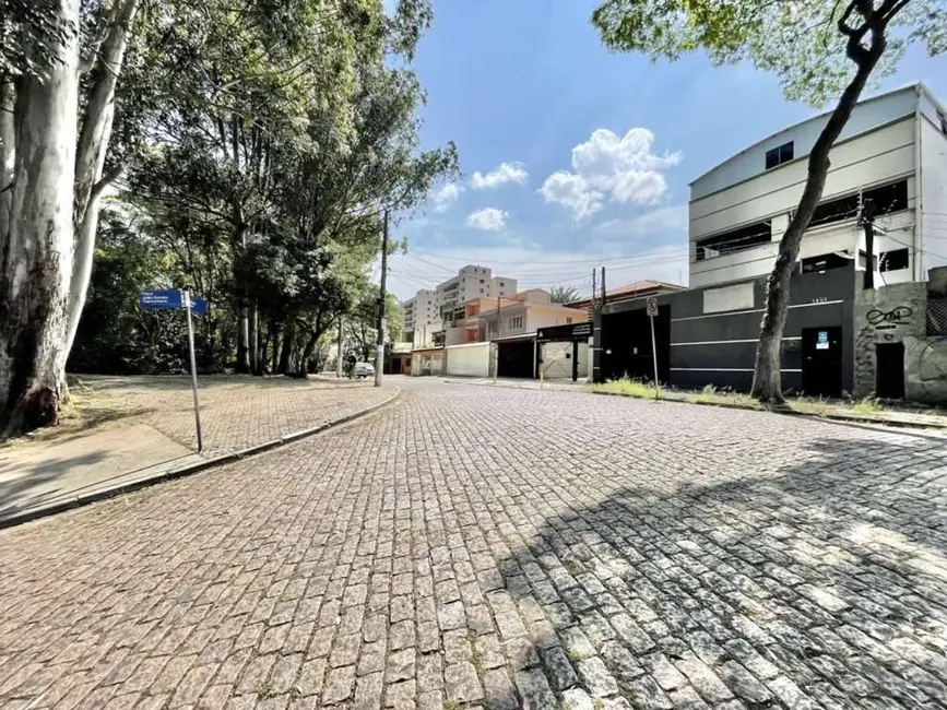Foto 3 de Armazém / Galpão à venda, 250m2 em Jardim Bonfiglioli, São Paulo - SP