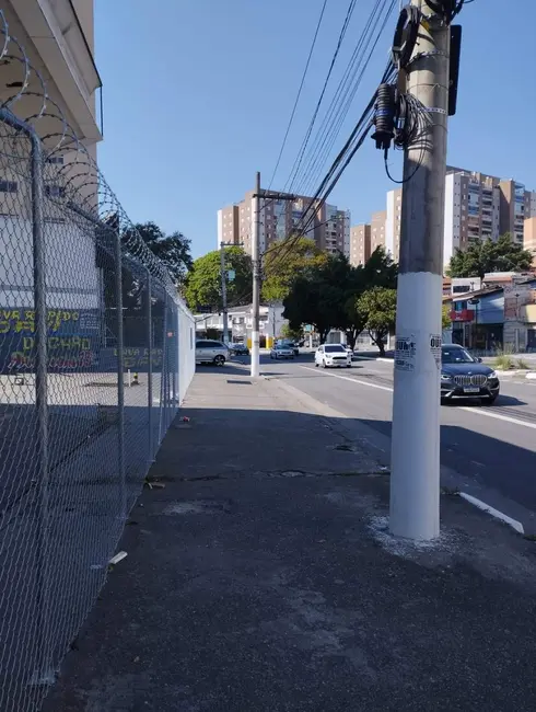 Foto 8 de Terreno / Lote à venda e para alugar, 1181m2 em Butantã, São Paulo - SP