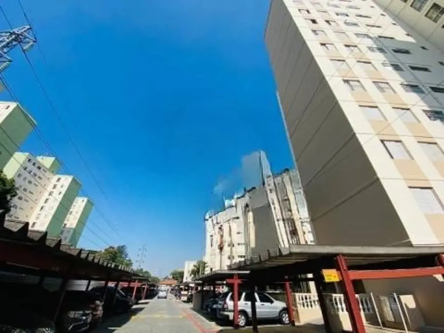 Apartamento com 3 quartos à venda, 63m2 em Piratininga, Osasco - SP - imagem 4 Foto 4 de Apartamento com 3 quartos à venda, 63m2 em Piratininga, Osasco - SP