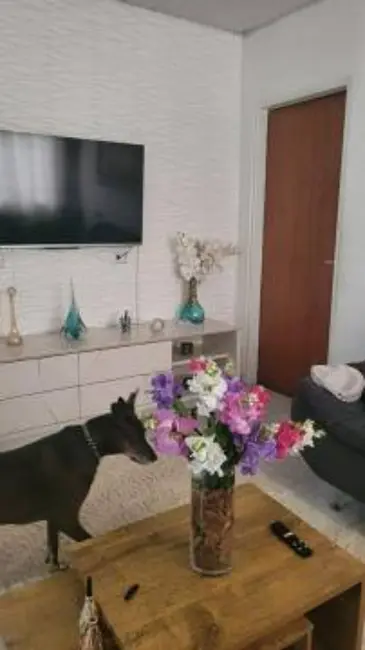 Foto 7 de Casa com 2 quartos à venda, 230m2 em Helena Maria, Osasco - SP