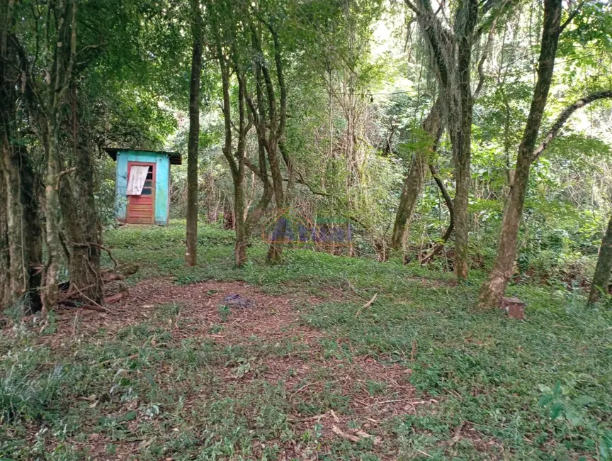Chácara com 2 quartos à venda, 89m2 em Santo Angelo - RS - imagem 3 Foto 3 de Chácara com 2 quartos à venda, 89m2 em Santo Angelo - RS