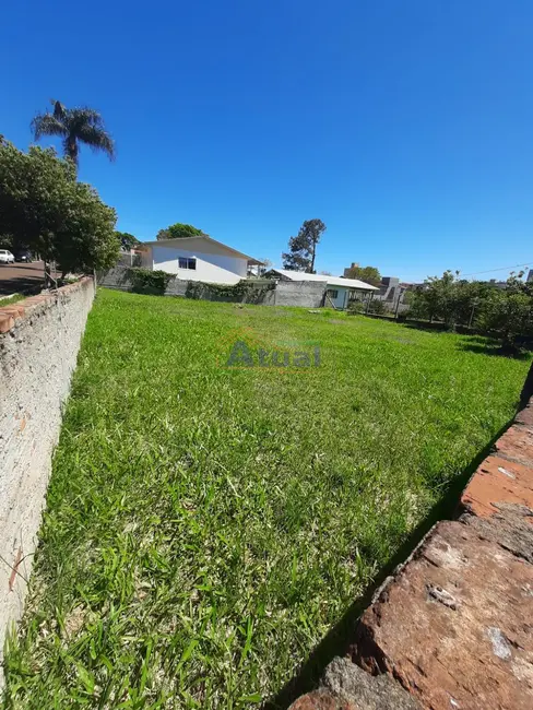 Terreno / Lote à venda, 433m2 em Centro, Santo Angelo - RS - imagem 3 Foto 3 de Terreno / Lote à venda, 433m2 em Centro, Santo Angelo - RS