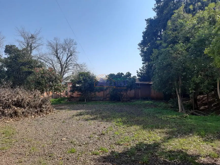 Foto 7 de Sala Comercial para alugar em Centro, Santo Angelo - RS