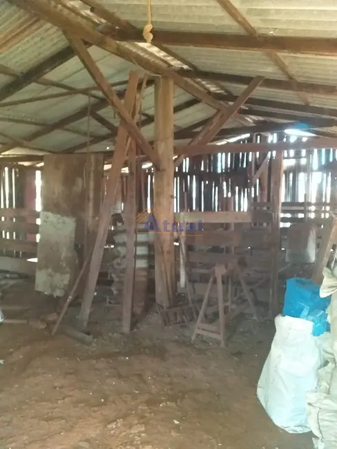 Chácara à venda em Santo Angelo - RS - imagem 36 Foto 36 de Chácara à venda em Santo Angelo - RS