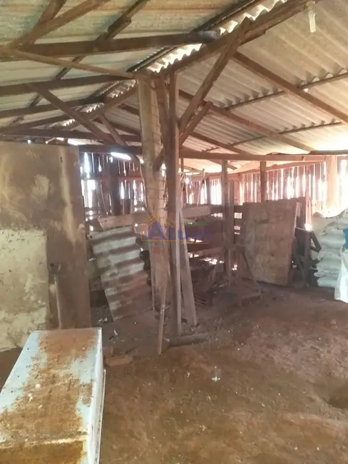 Chácara à venda em Santo Angelo - RS - imagem 35 Foto 35 de Chácara à venda em Santo Angelo - RS