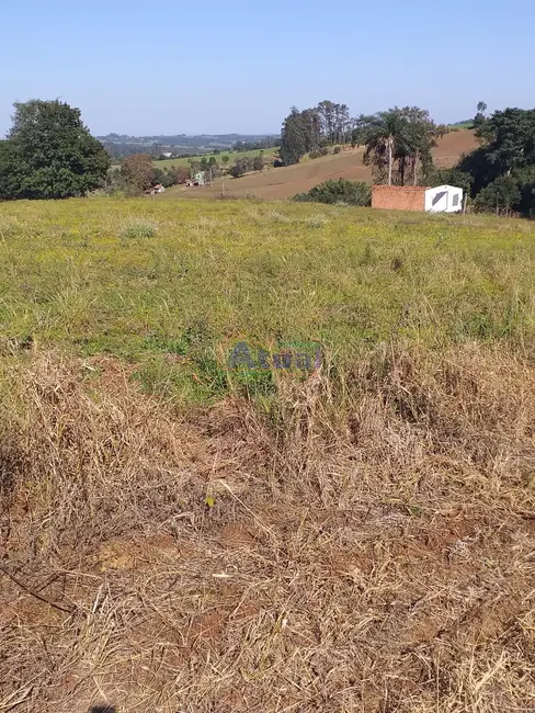 Chácara à venda em Santo Angelo - RS - imagem 6 Foto 6 de Chácara à venda em Santo Angelo - RS