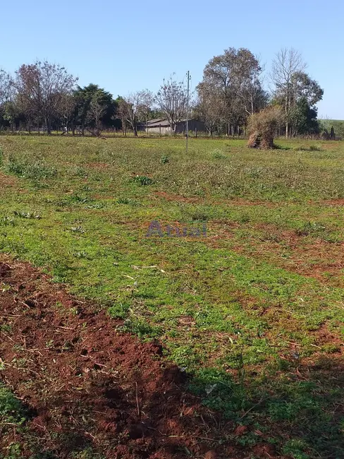 Chácara à venda em Santo Angelo - RS - imagem 4 Foto 4 de Chácara à venda em Santo Angelo - RS