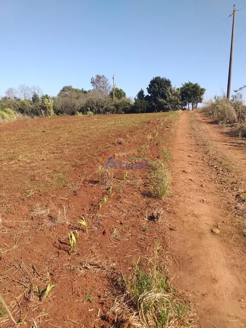 Chácara à venda em Santo Angelo - RS - imagem 47 Foto 47 de Chácara à venda em Santo Angelo - RS