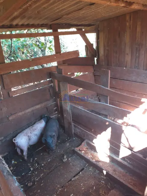 Chácara à venda em Santo Angelo - RS - imagem 42 Foto 42 de Chácara à venda em Santo Angelo - RS