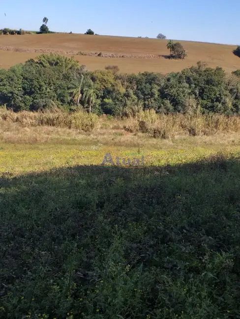 Chácara à venda em Santo Angelo - RS - imagem 16 Foto 16 de Chácara à venda em Santo Angelo - RS