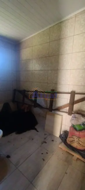 Chácara com 1 quarto à venda, 50m2 em Santo Angelo - RS - imagem 8 Foto 8 de Chácara com 1 quarto à venda, 50m2 em Santo Angelo - RS