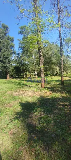 Chácara com 1 quarto à venda, 50m2 em Santo Angelo - RS - imagem 5 Foto 5 de Chácara com 1 quarto à venda, 50m2 em Santo Angelo - RS