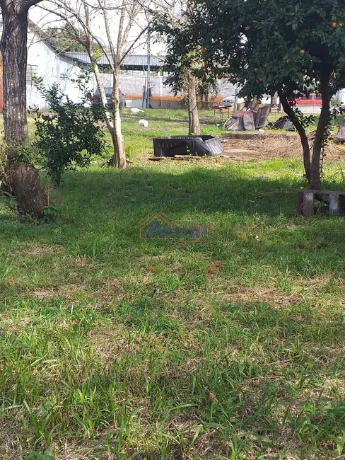 Foto 6 de Terreno / Lote à venda, 5484m2 em Menges, Santo Angelo - RS