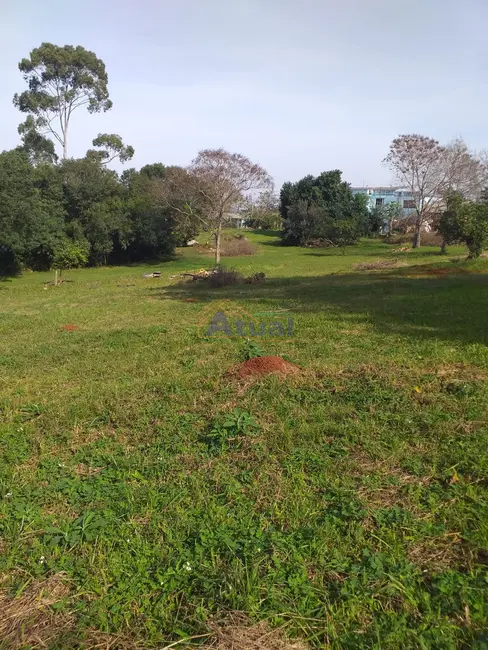 Foto 2 de Terreno / Lote à venda, 5484m2 em Menges, Santo Angelo - RS