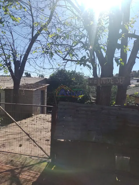 Terreno / Lote à venda, 234m2 em Dido, Santo Angelo - RS - imagem 4 Foto 4 de Terreno / Lote à venda, 234m2 em Dido, Santo Angelo - RS