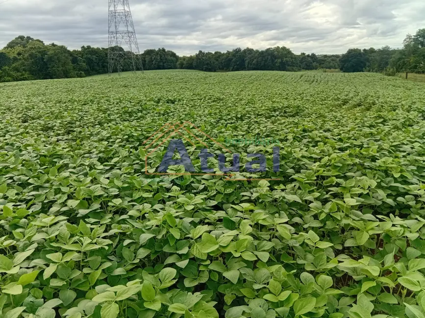 Foto 1 de Sítio / Rancho com 3 quartos à venda, 100m2 em Santo Angelo - RS