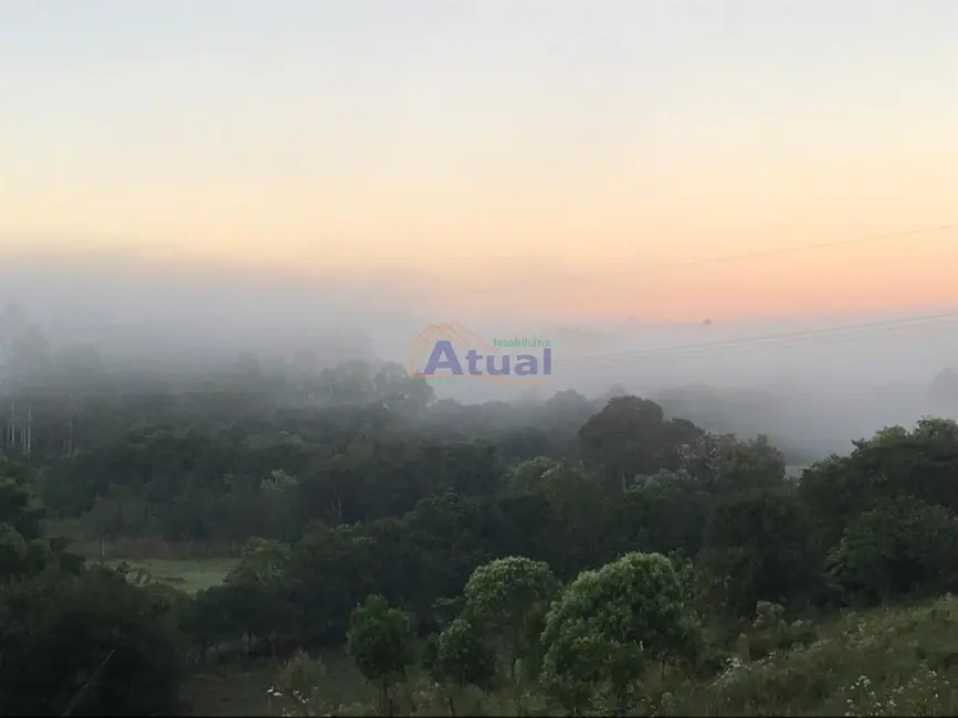 Foto 4 de Chácara com 2 quartos à venda, 2398m2 em Haller, Santo Angelo - RS