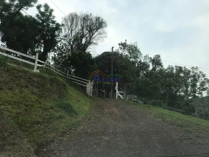 Chácara com 2 quartos à venda, 2398m2 em Haller, Santo Angelo - RS - imagem 7 Foto 7 de Chácara com 2 quartos à venda, 2398m2 em Haller, Santo Angelo - RS