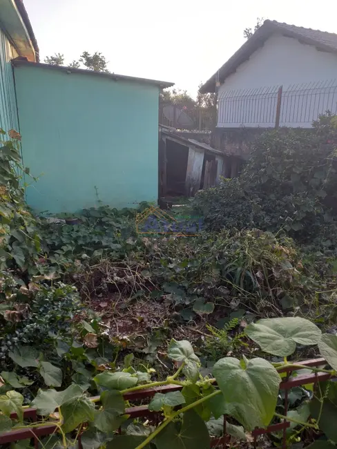 Foto 5 de Casa com 2 quartos à venda, 66m2 em Pippi, Santo Angelo - RS