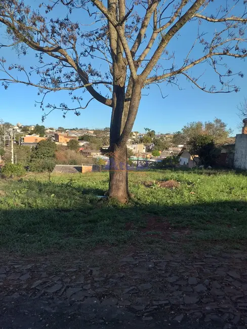 Foto 2 de Terreno / Lote à venda, 460m2 em Dornelles, Santo Angelo - RS