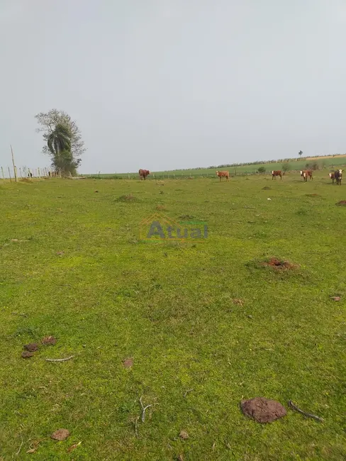 Foto 5 de Chácara à venda em Vitoria Das Missoes - RS