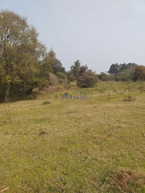 Foto 7 de Chácara à venda em Vitoria Das Missoes - RS