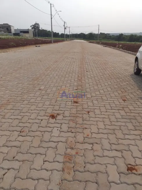 Foto 4 de Terreno / Lote à venda, 360m2 em Santo Angelo - RS