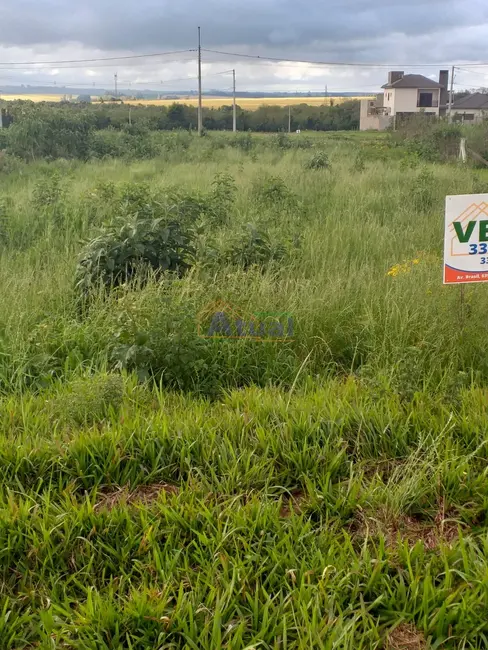 Terreno / Lote à venda, 375m2 em Santo Angelo - RS - imagem 4 Foto 4 de Terreno / Lote à venda, 375m2 em Santo Angelo - RS