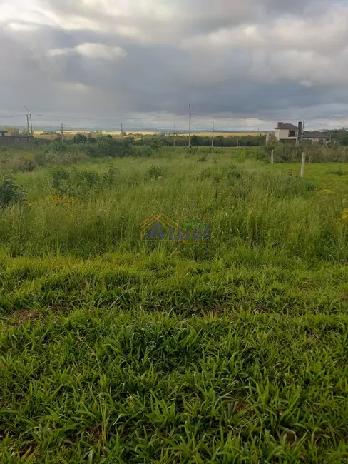 Foto 2 de Terreno / Lote à venda, 375m2 em Santo Angelo - RS