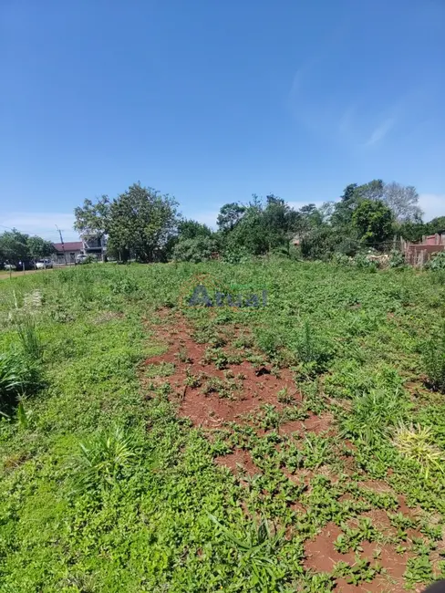 Chácara com 2 quartos à venda, 2909m2 em Paraíso, Santo Angelo - RS - imagem 5 Foto 5 de Chácara com 2 quartos à venda, 2909m2 em Paraíso, Santo Angelo - RS