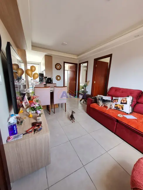 Foto 1 de Apartamento com 2 quartos à venda, 45m2 em Aliança, Santo Angelo - RS