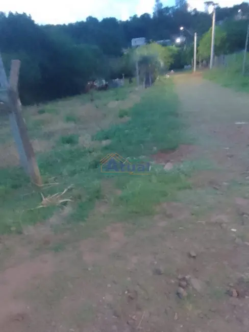 Foto 4 de Terreno / Lote à venda, 329m2 em Haller, Santo Angelo - RS