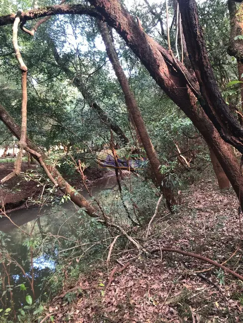 Foto 2 de Chácara com 2 quartos à venda em Entre Ijuis - RS