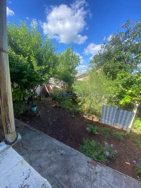 Foto 3 de Casa com 3 quartos à venda, 77m2 em Aliança, Santo Angelo - RS