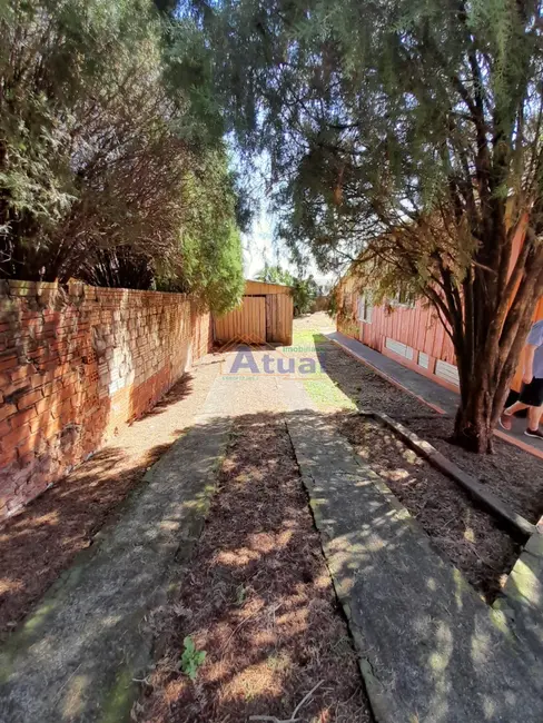 Foto 8 de Casa com 2 quartos à venda, 111m2 em Rosenthal, Santo Angelo - RS