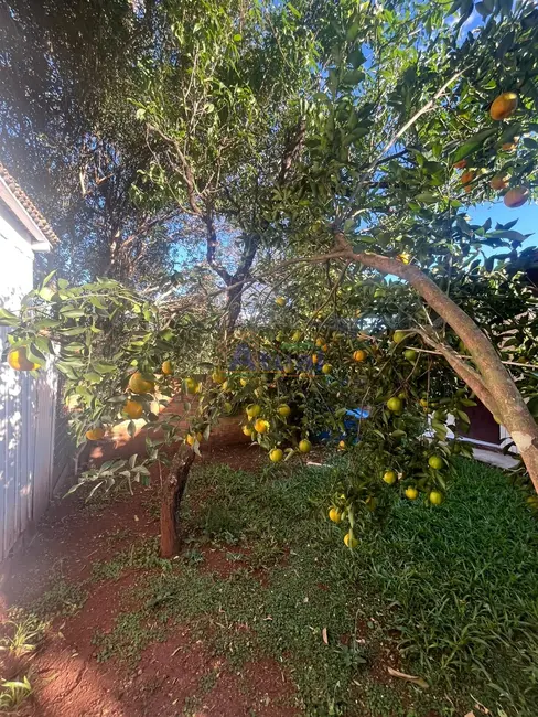 Foto 8 de Casa com 3 quartos à venda, 145m2 em Hortência, Santo Angelo - RS