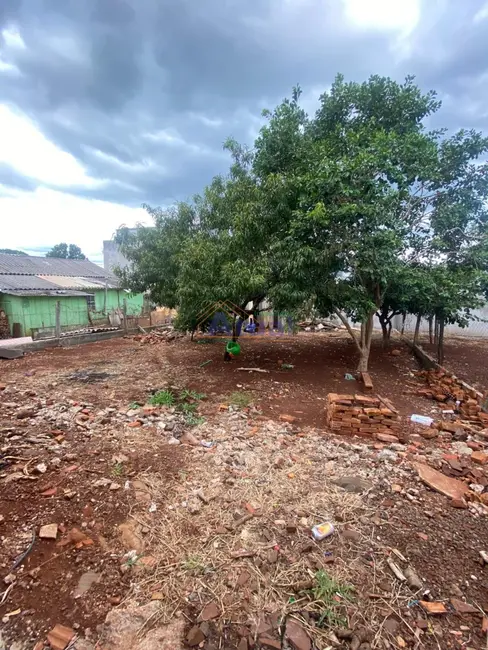 Casa com 2 quartos à venda, 77m2 em Indubrás, Santo Angelo - RS - imagem 3 Foto 3 de Casa com 2 quartos à venda, 77m2 em Indubrás, Santo Angelo - RS