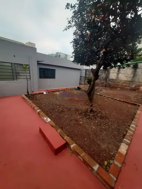Foto 2 de Casa com 3 quartos para alugar em Centro, Santo Angelo - RS