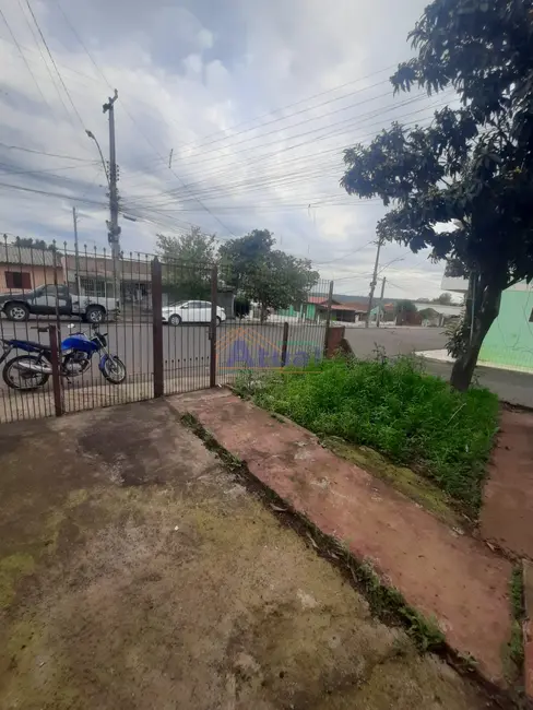 Foto 9 de Casa com 2 quartos para alugar em Dytz, Santo Angelo - RS