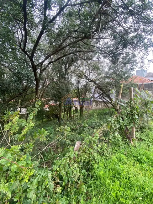 Foto 3 de Terreno / Lote à venda, 388m2 em Pascotini, Santo Angelo - RS