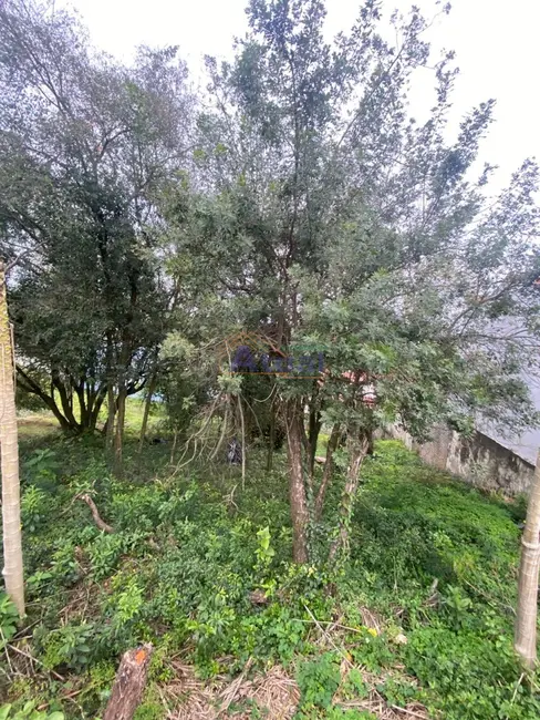 Foto 5 de Terreno / Lote à venda, 388m2 em Pascotini, Santo Angelo - RS